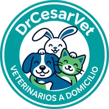 Dr Cesar Vet